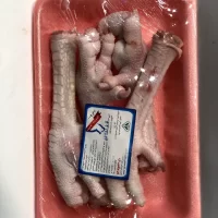 پای بوقلمون