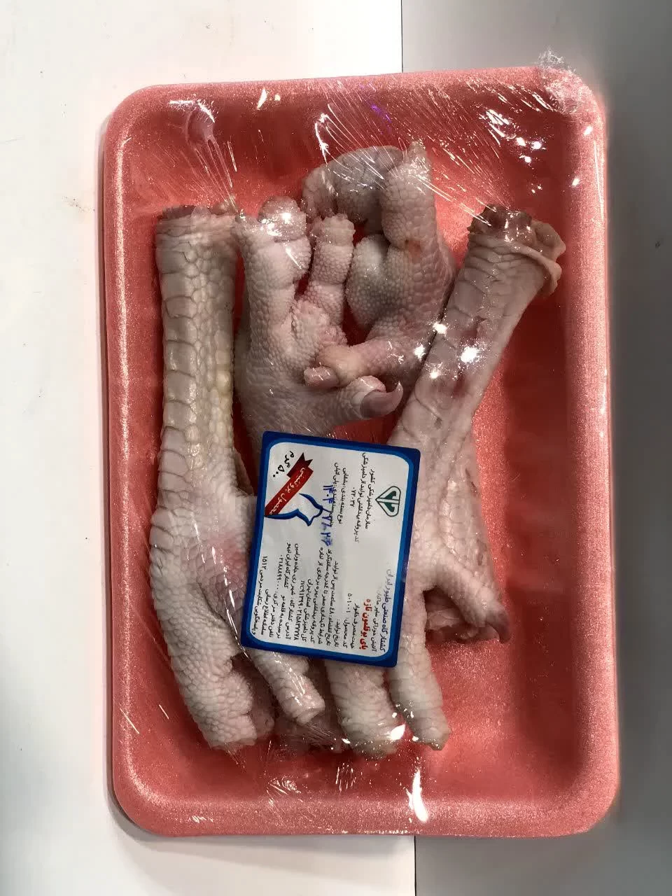 پای بوقلمون