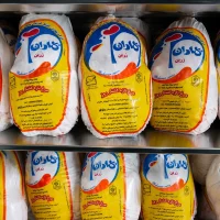 مرغ کشتار روز