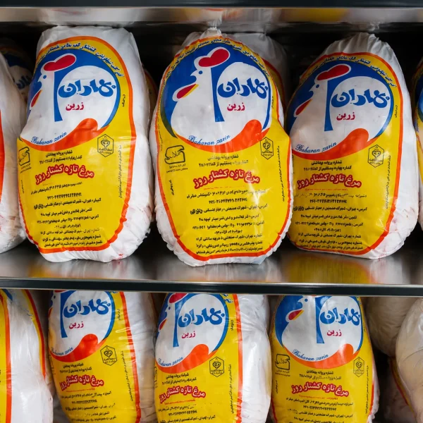 مرغ کشتار روز بهاران