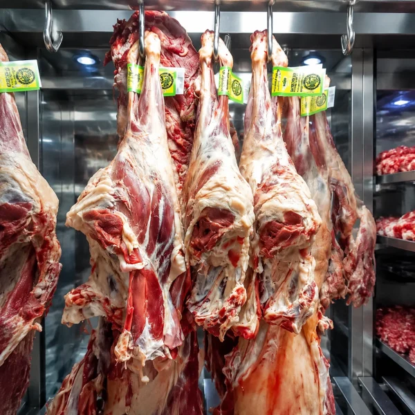 گوشت گوسفند ماده جوان با دنبه